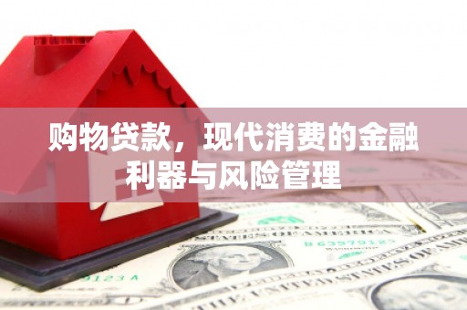 友谊购物贷款，现代消费的金融利器与风险管理