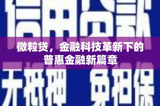 友谊微粒贷，金融科技革新下的普惠金融新篇章