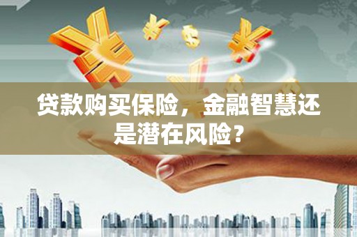 友谊贷款购买保险，金融智慧还是潜在风险？