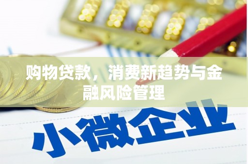 友谊购物贷款，消费新趋势与金融风险管理