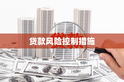 友谊贷款风险控制措施