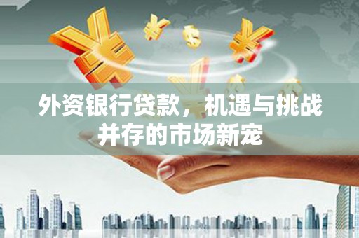 友谊外资银行贷款，机遇与挑战并存的市场新宠