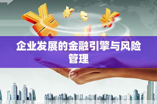 友谊企业发展的金融引擎与风险管理