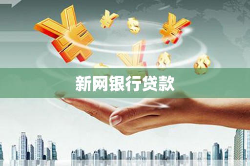 友谊新网银行贷款