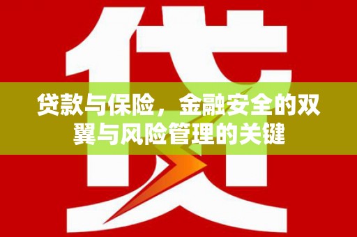 友谊贷款与保险，金融安全的双翼与风险管理的关键