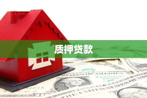 友谊质押贷款