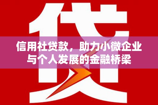 友谊信用社贷款，助力小微企业与个人发展的金融桥梁