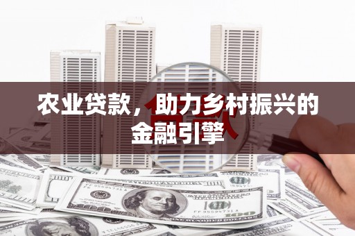 友谊农业贷款，助力乡村振兴的金融引擎