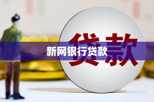 友谊新网银行贷款