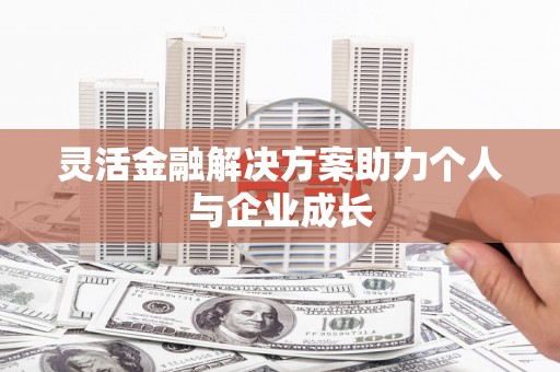友谊灵活金融解决方案助力个人与企业成长