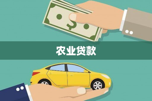 友谊农业贷款