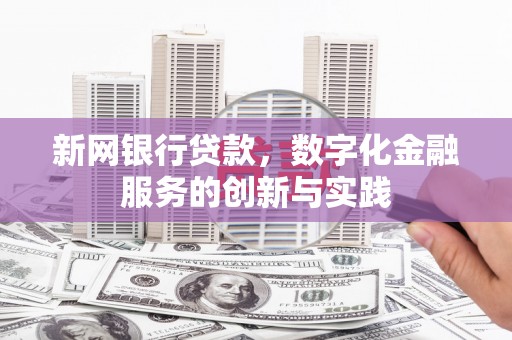 友谊新网银行贷款，数字化金融服务的创新与实践