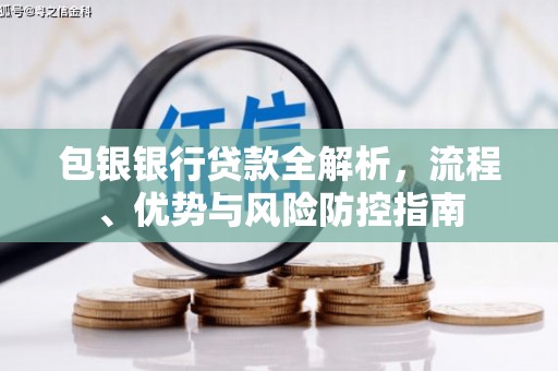 友谊包银银行贷款全解析，流程、优势与风险防控指南