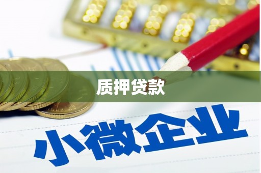 友谊质押贷款