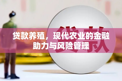 友谊贷款养殖，现代农业的金融助力与风险管理