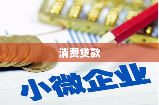 友谊消费贷款