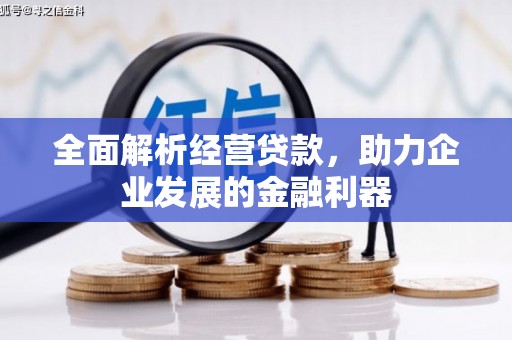 友谊全面解析经营贷款，助力企业发展的金融利器
