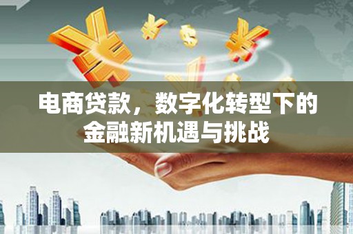 友谊电商贷款，数字化转型下的金融新机遇与挑战