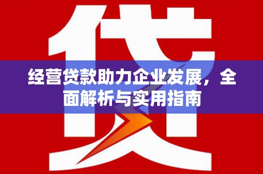 友谊经营贷款助力企业发展，全面解析与实用指南