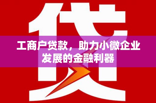 友谊工商户贷款，助力小微企业发展的金融利器