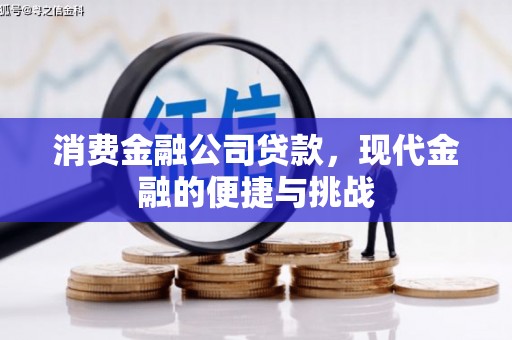 友谊消费金融公司贷款，现代金融的便捷与挑战