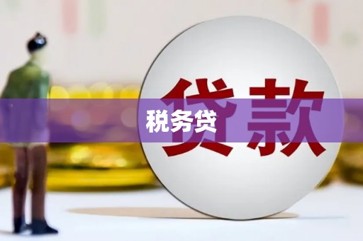 友谊税务贷