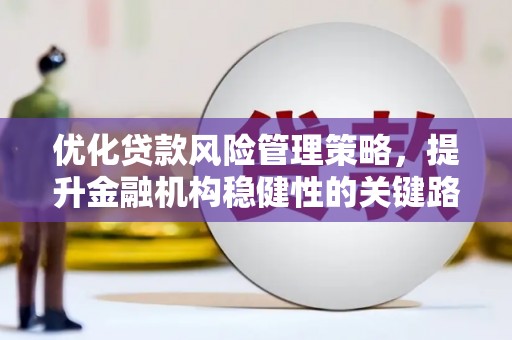 友谊优化贷款风险管理策略，提升金融机构稳健性的关键路径