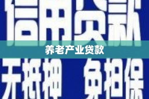 友谊养老产业贷款