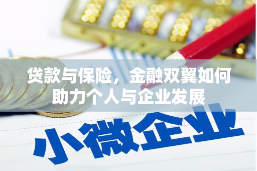 友谊贷款与保险，金融双翼如何助力个人与企业发展