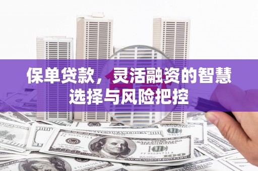 友谊保单贷款，灵活融资的智慧选择与风险把控