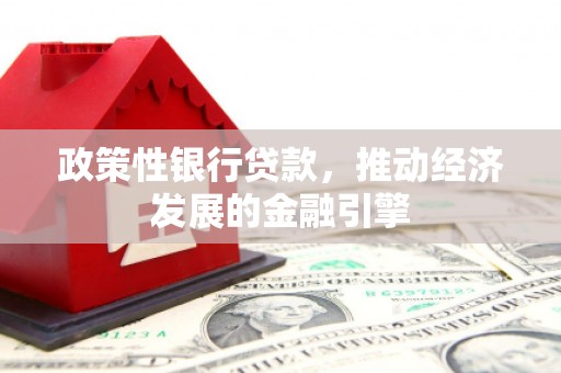 友谊政策性银行贷款，推动经济发展的金融引擎