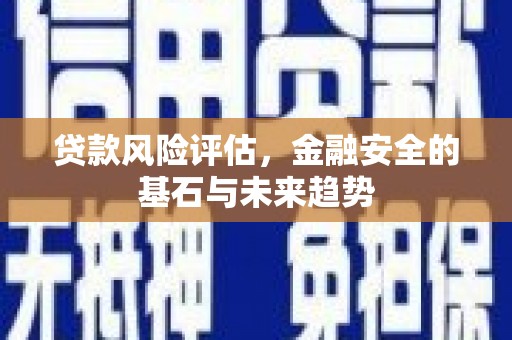 友谊贷款风险评估，金融安全的基石与未来趋势
