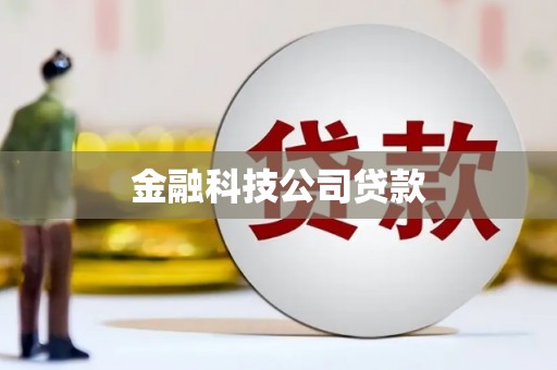 友谊金融科技公司贷款