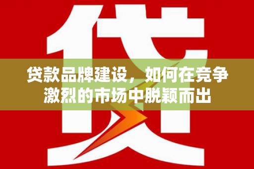 友谊贷款品牌建设，如何在竞争激烈的市场中脱颖而出
