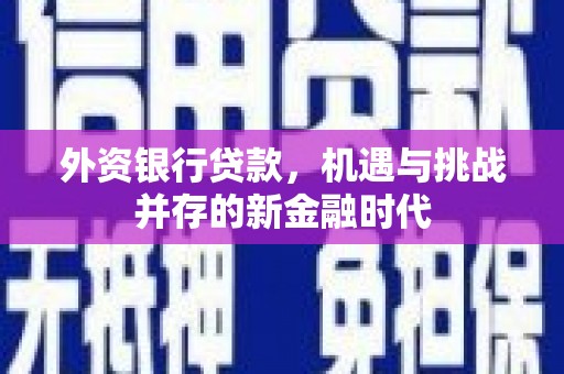 友谊外资银行贷款，机遇与挑战并存的新金融时代