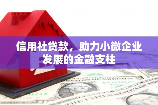 友谊信用社贷款，助力小微企业发展的金融支柱