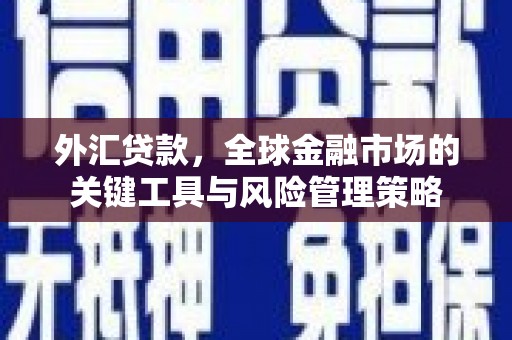 友谊外汇贷款，全球金融市场的关键工具与风险管理策略