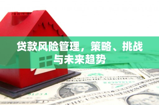 友谊贷款风险管理，策略、挑战与未来趋势