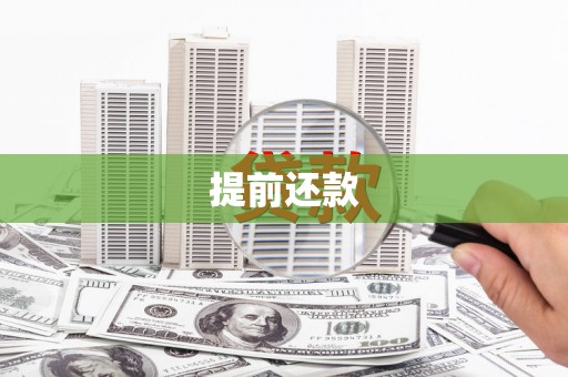友谊提前还款