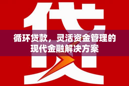 友谊循环贷款，灵活资金管理的现代金融解决方案