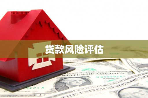 友谊贷款风险评估