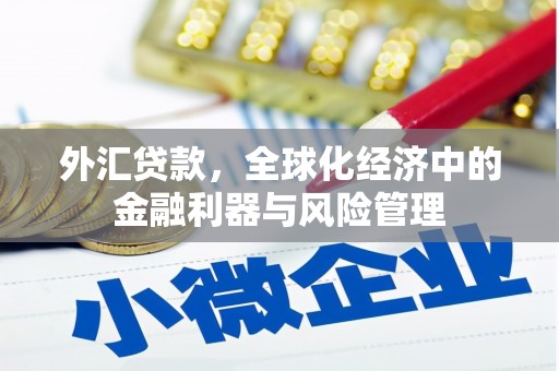 友谊外汇贷款，全球化经济中的金融利器与风险管理