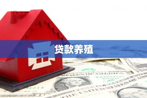 友谊贷款养殖