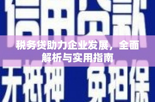 友谊税务贷助力企业发展，全面解析与实用指南