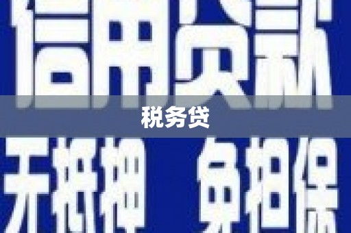 友谊税务贷