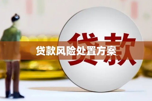 友谊贷款风险处置方案