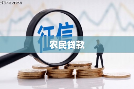 友谊农民贷款