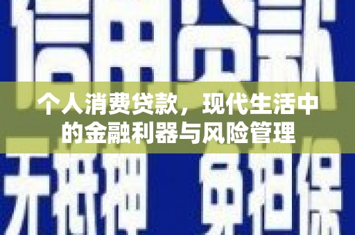 友谊个人消费贷款，现代生活中的金融利器与风险管理