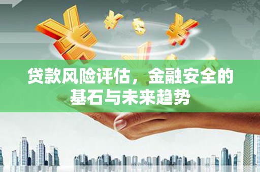 友谊贷款风险评估，金融安全的基石与未来趋势