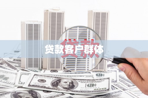 友谊贷款客户群体